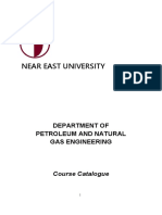 Near East University: Department of Petroleum and Natural Gas Engineering