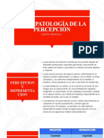 6) Psicopatologia de La Percepcion