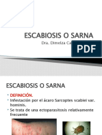 Escabiosis o Sarna