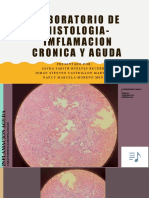 Laboratorio de Histologia-Inflamacion Cronica y Aguda