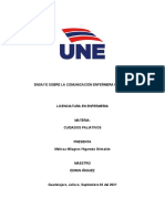 Ensayo Sobre La Comunicación Enfermera Paciente