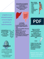 Triptico Hepatitis A