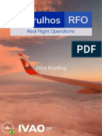 Guarulhos RFO - Pilot Briefing