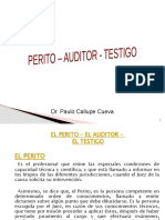 Peritaje Auditor Testigo