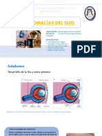 Anomalías Del Ojo