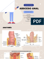 Abceso Anal - B3P4