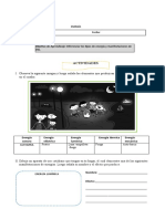 Guia de Quinto Básico Energía