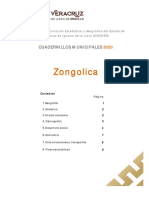 Zongolica 2020