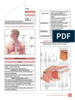 Respiratory System - Notes