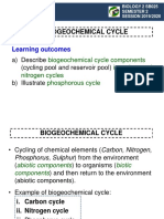 2.3 Biogeochemical Cycle