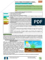 29 - Ficha Del Área de Ciencia y Tecnología 2º Grado