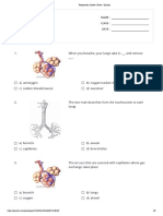 Respiratory System - Print - Quizizz