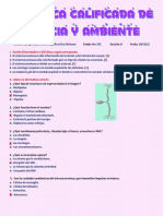 Practica Calificada de Ciencia y Ambiente - Llica