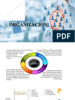 Organizacion Procesos