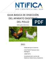 Guia Basica de Disección Del Aparato Digestivo Del Pollo