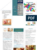 Biomoléculas TRIPTICO