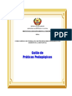 Guiao Das Praticas Pedagogicas