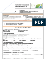 Diagnostico 8 - 2022