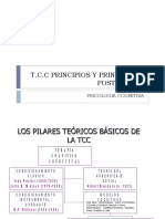 Terapia Cognitivo Conductual Completo