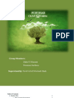 Olive Plantation Business Plan Pakistan