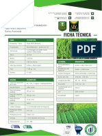 Ficha Tecnica Grass Euro Tecnogol 50