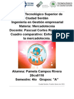 Cuadro Comparativo - Enfoques de La Mercadotecnia