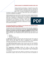 Una Región de Transición Asegura La Continuidad Vascular Entre Raíz y Tallo