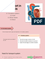 9 Transport in Animals