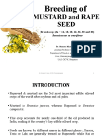 14 Rapeseed Muster D