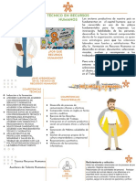 Técnico en Recursos Humanos