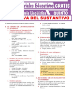 Normativa Del Sustantivo ParaSecundaria