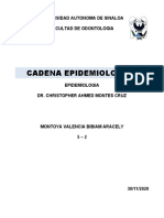 Cadena Epidemiologíca