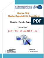 Rapport Thématique Controle Et Audit Fiscal