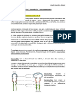 Aula 1 Introdução A Neuroanatomia