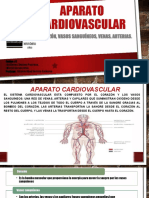 Aparato Cardiovascular