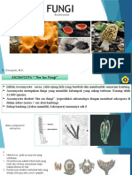 Ascomycota