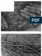 Plant Virus Replication and Structure