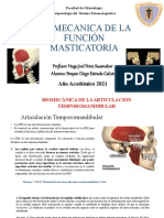 Biomecanica de La Función Masticatoria-Brayan Estrada