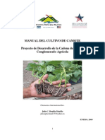 Manual Del Cultivo de Camote