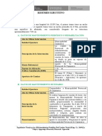 Resumen Ejecutivo - Collpa