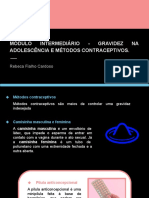 Módulo Intermediário - Gravidez Na Adolescência e Métodos Contraceptivos.