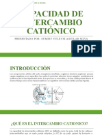 Cap-7-Capacidad de Intercambio Catiónico