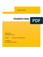 Examen Final - Yasimiento de Minerales