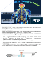 Sistema Nervioso