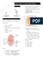 Anatomia Do Trato Gastrointestinal