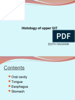 Histology of The Upper GIT