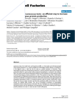 Protein Secretion in Lactococcus Lactis An Efficient Way To Increase The Overall Heterologous Protein Production