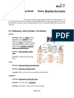 Unit 6 Learning Guide Name: Brandon Au-Young: Instructions