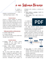 Introdução Ao Sistema Nervoso