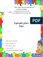 Organizador Grafico (Dua)